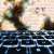 Breaking Borders: Technology’s Role in Business Growth
